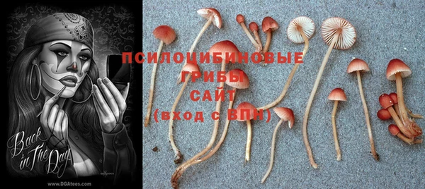 PSILOCYBIN Абинск