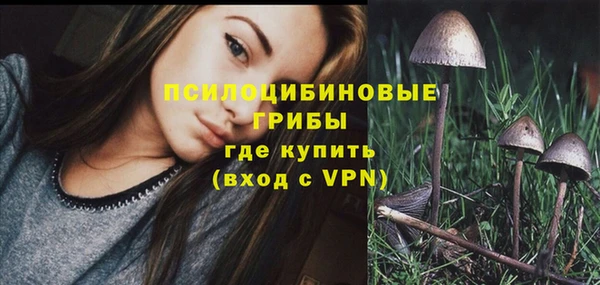 Альфа ПВП Абаза