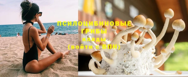 Альфа ПВП Абаза